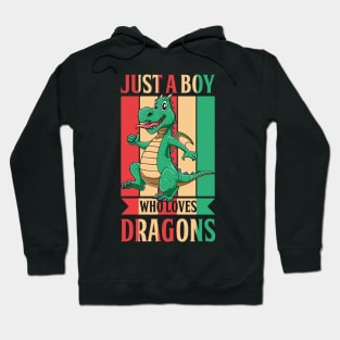 Boy Loves Dragons Cute Fantasy Dragon Lover Mythology Hoodie